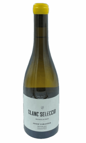 Josep Foraster Blanc Seleccio
